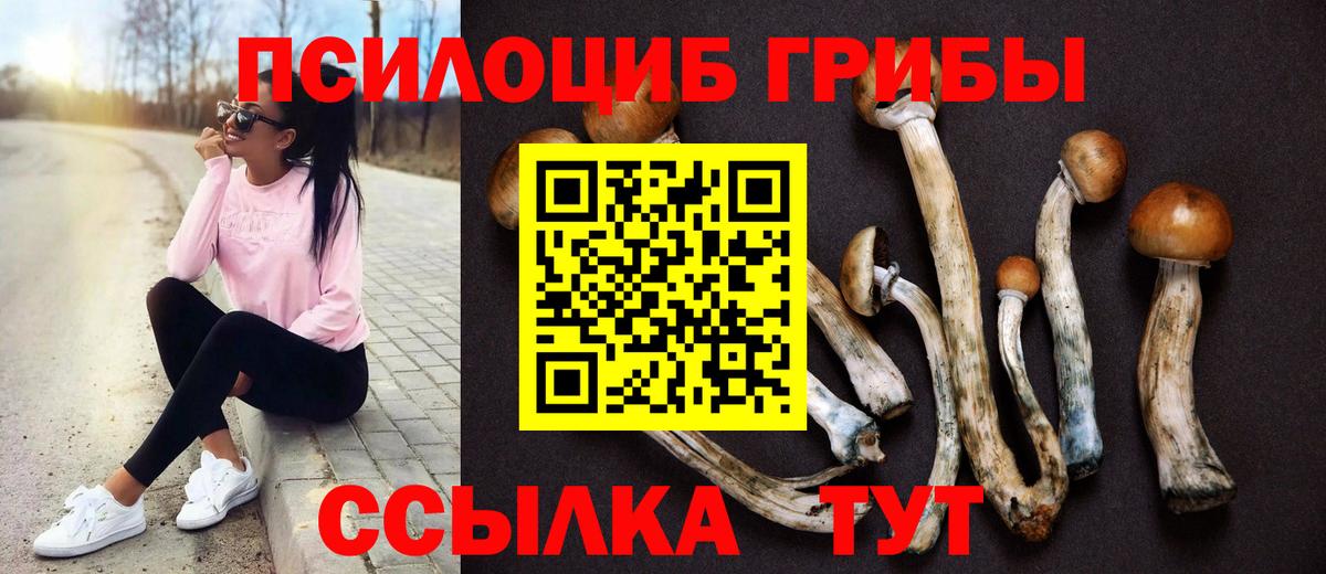 Псилоцибиновые грибы Psilocybe Похвистнево